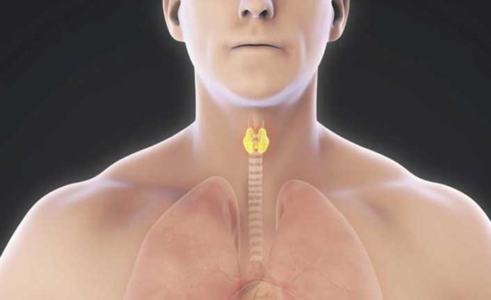 Hashimoto Triodi hastalığı nedir? 1