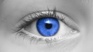 İnternet üzerinden lens siparişlerine dikkat ! 1