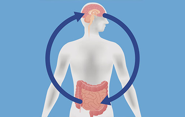 Bütün Hastalıklar Bağırsakta Başlar 7