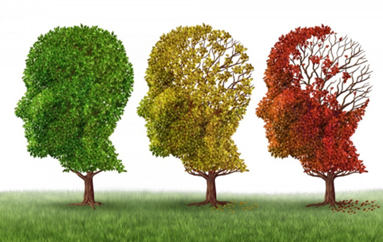 Alzheimer nedir? Alzheimer belirtileri ve tedavisi 9