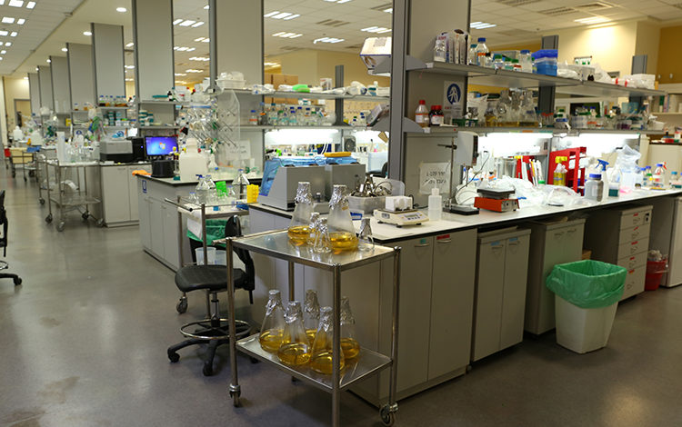 COVID-19 Aşısı Ar&Ge Çalışmalarında BIOVIA Uygulamaları Kullanılıyor 1