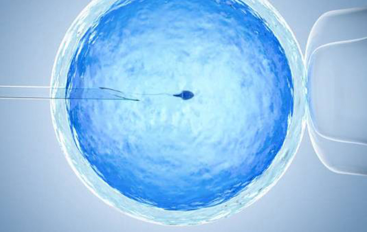 Tarım ilaçları ve hava kirliliği gebe kalma şansını azaltıyor 7