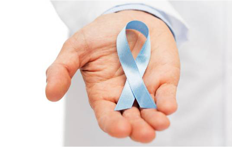 Prostat kanseri evreleme 6