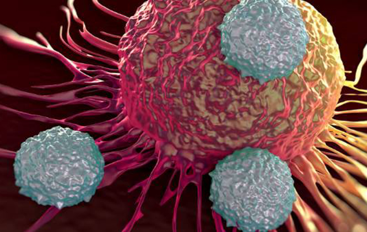 Kanser nasıl oluşur? 6