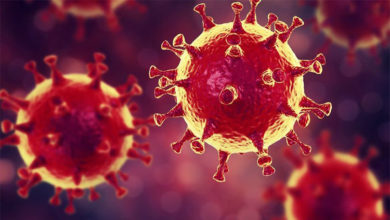 Yeni Koronavirüs ( Covıd-19 ) 31