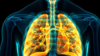 Koah Hakkında Bilinmesi Gerekenler 1