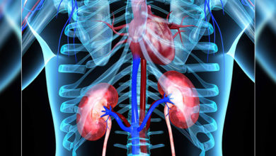 Böbrek Üstü (Adrenal) Bezi Hakkında Bilmek İstedikleriniz 1