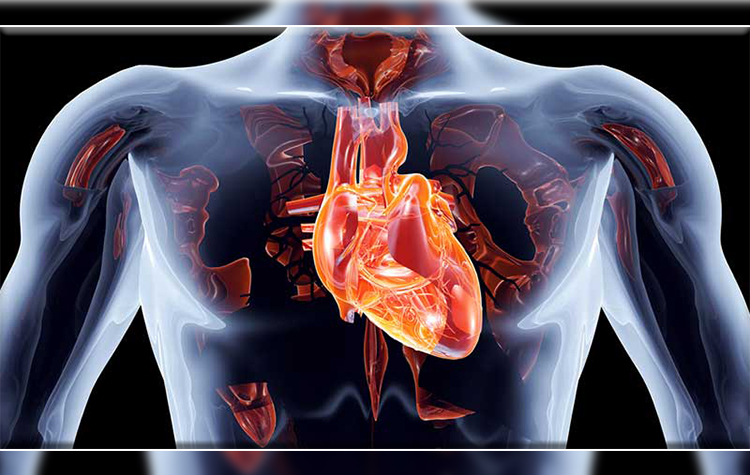 Anevrizmanın Ameliyatsız Tedavisi: "Endovasküler Stent" 6