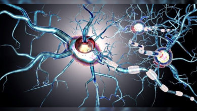 MS Hastalığı - Multiple Skleroz Hastalığı Nedir? 1