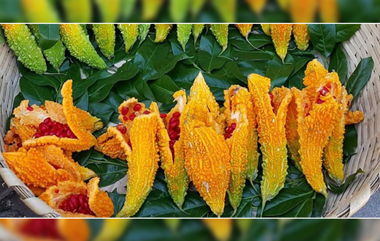 Ülsere Şifa : Kudret Narı Yağı 7