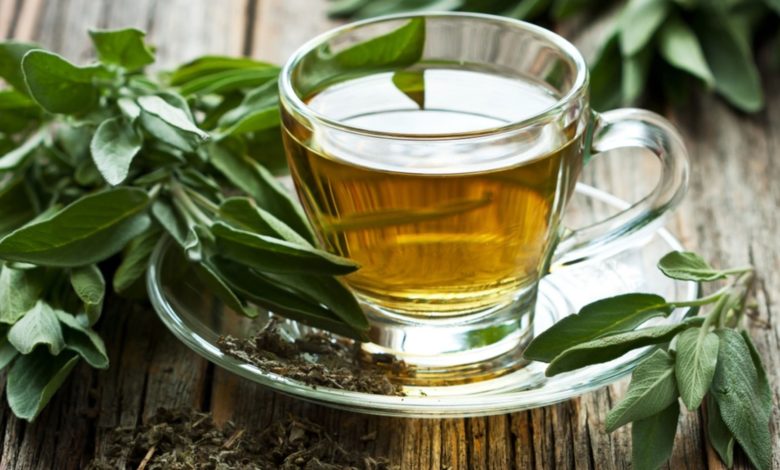 Mucizevi Bitki: Adaçayı 1