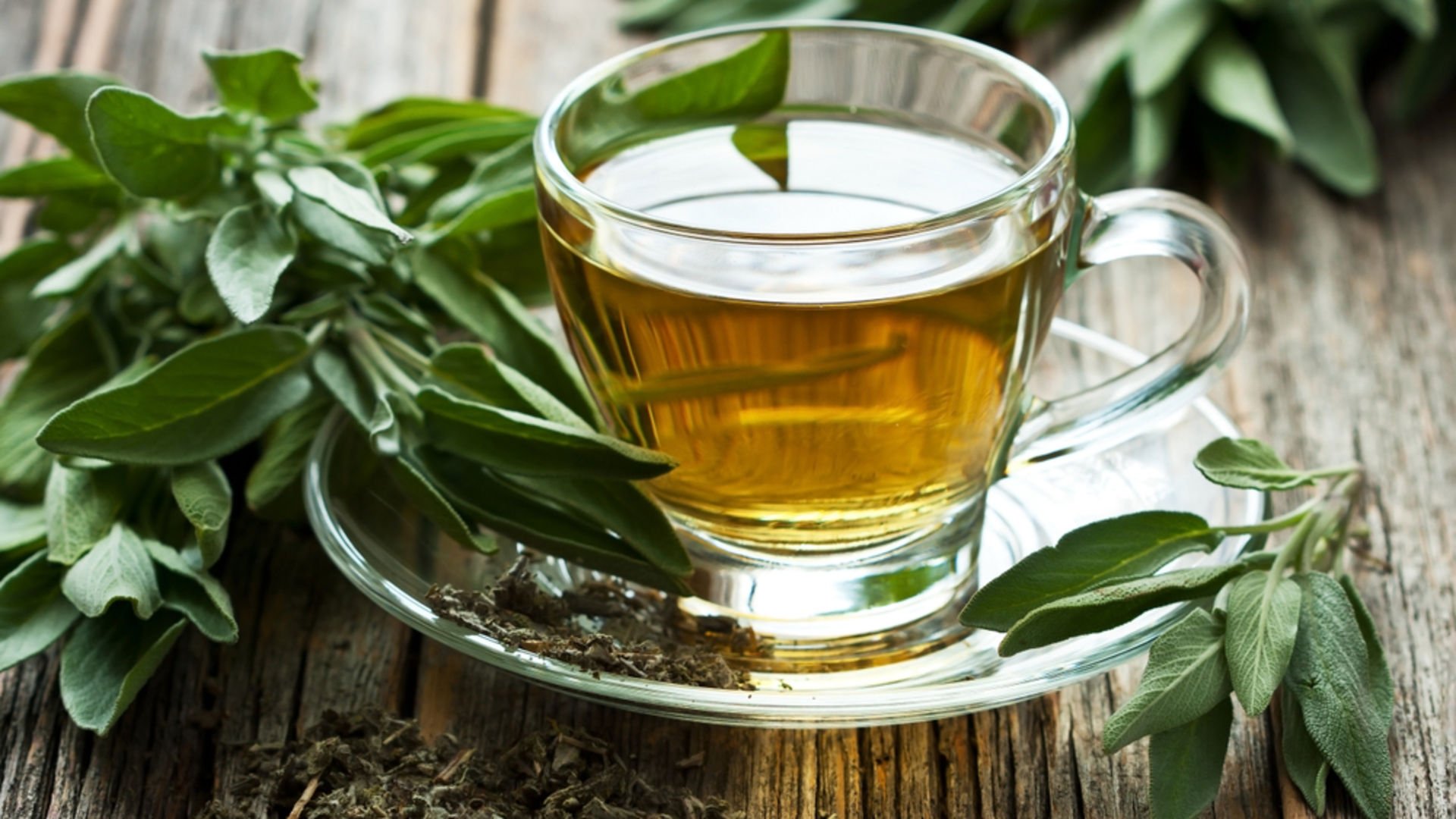 Mucizevi Bitki: Adaçayı 7