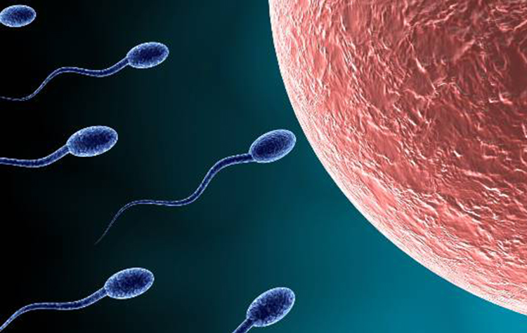 Baba olmak için çok “şansınız” var 7