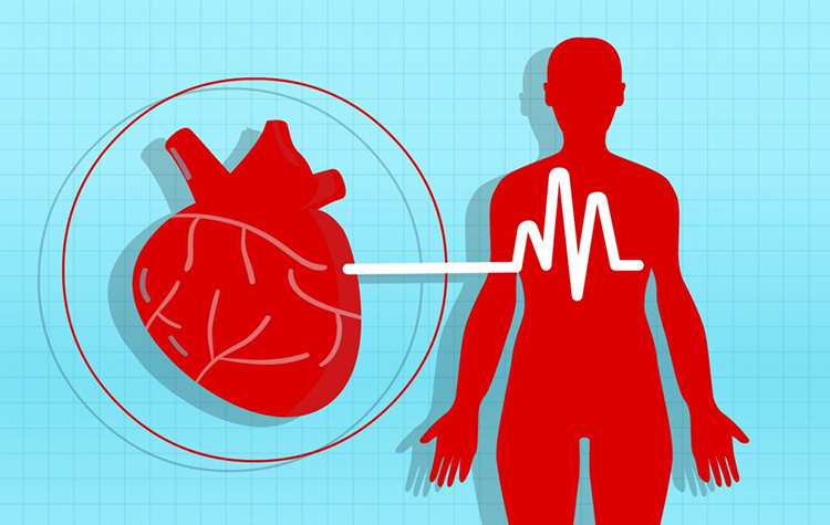 Normal Bireylere Göre Felç Riski 7 Kat Fazla 7