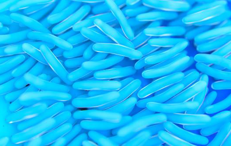 Vücudumuzun en kalabalık canlı sistemi: Mikrobiyota 7