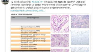 Türk bilim insanından korkutan açıklama: Geleceğimiz tehlikede 1