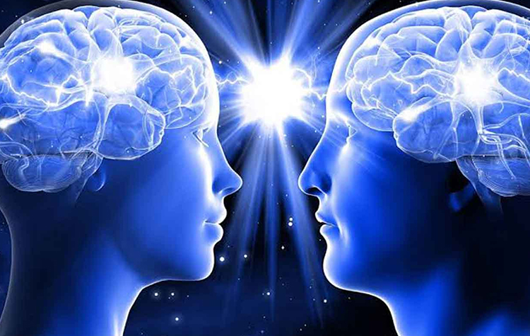 Arel Üniversitesi’nden Glioblastoma Tedavisine Yeni Bir Yaklaşım 6