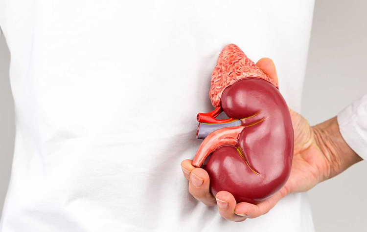 Böbrek Taşı Tedavisinde Lazer Dönemi 7