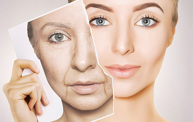 Cilt nasıl yaşlanır ? 7