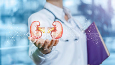 Böbrek Taşı Yaz Aylarında Artıyor 1