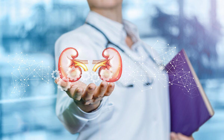 Böbrek Taşı Yaz Aylarında Artıyor 1