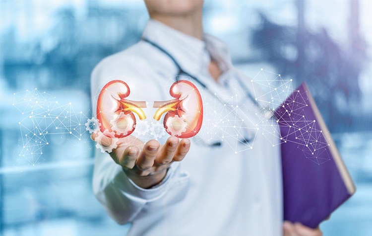 Böbrek Taşı Yaz Aylarında Artıyor 7