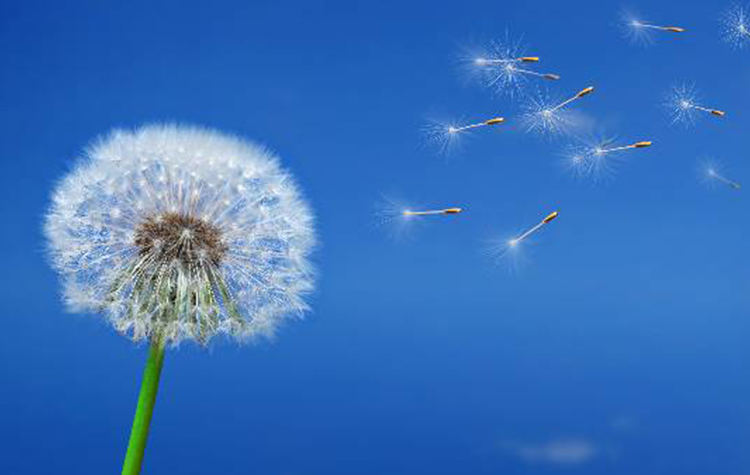 Alerjiden korunmanın püf noktaları 7