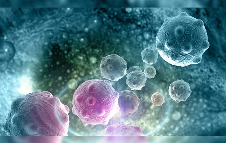 Prostat kanserinde “akıllı” biyopsi: MR TRUS Füzyon 7