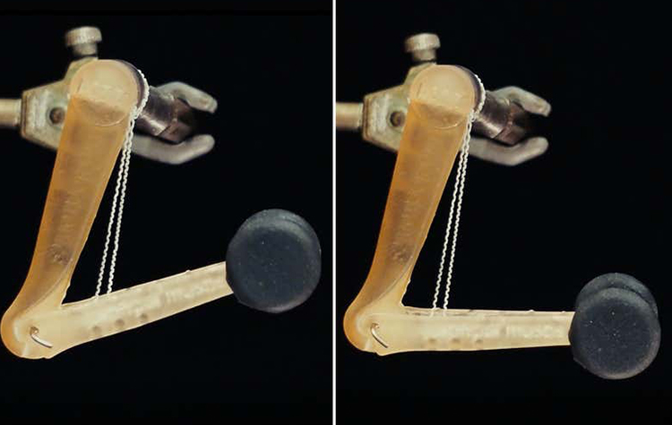 Kendi ağırlığının 1000 katını taşıyabilen yapay kas 6