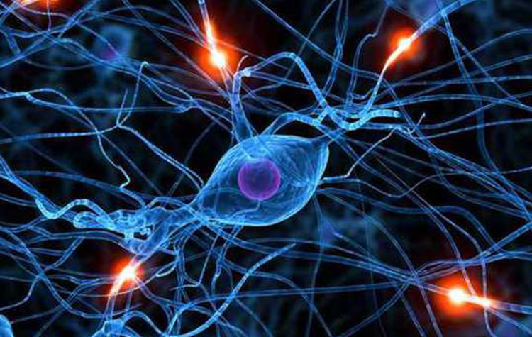 Eklem Ağrıları Kök Hücre Tedavisi ile Son Bulabiliyor 7