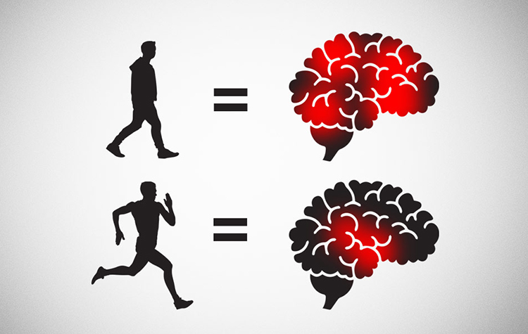 İşveç’te Yapılan Araştırma Egzersizin Öğrenme Yetisini Geliştirdiğini Ortaya Çıkardı 8