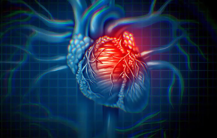 Hangi faktörler erken yaşta kalp krizini tetikliyor? 7