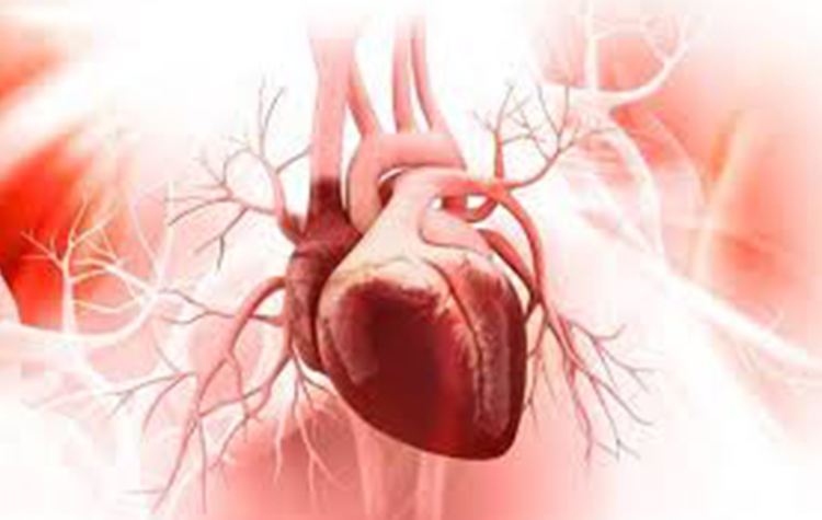 Kalp çarpıntılarını dikkate alın! 7