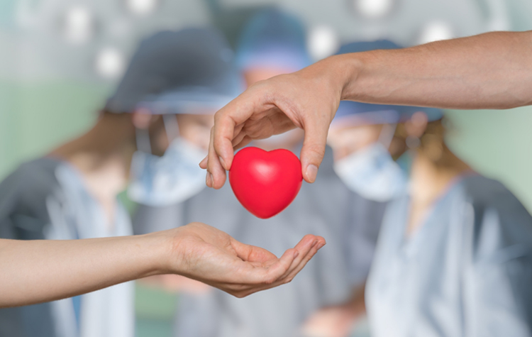 Pandemi sürecinde Organ Bağışı hakkında bilinmesi gerekenler 8