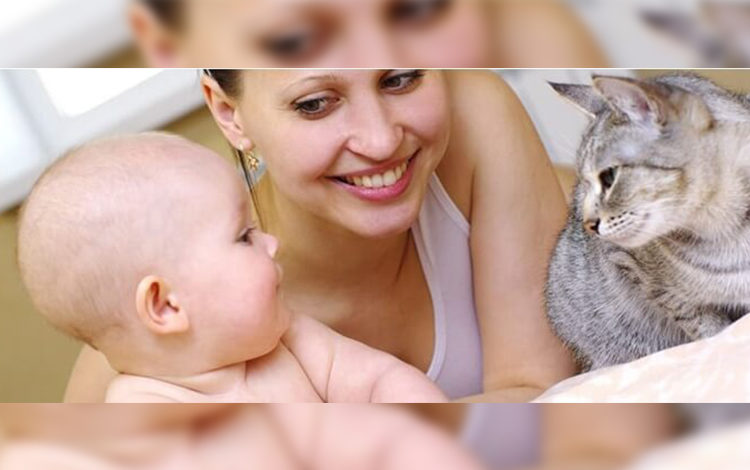 Kedi ve köpeğe alerjisi olanlara alerji aşısı yapılabiliyor 1