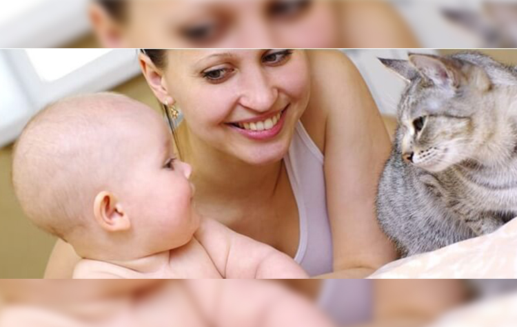 Kedi ve köpeğe alerjisi olanlara alerji aşısı yapılabiliyor 7