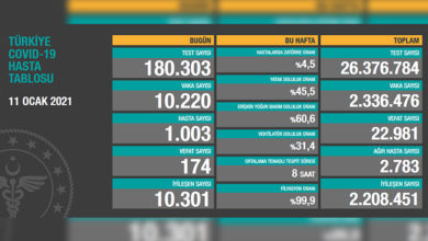 Türkiye’de son 24 saatte 174 hasta vefat etti, 10 bin 301 hasta ise iyileşti 10