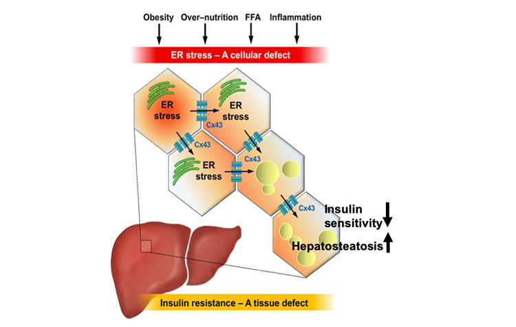 Harvard Sabri Ülker Merkezi’nden heyecan uyandıran çalışma 6