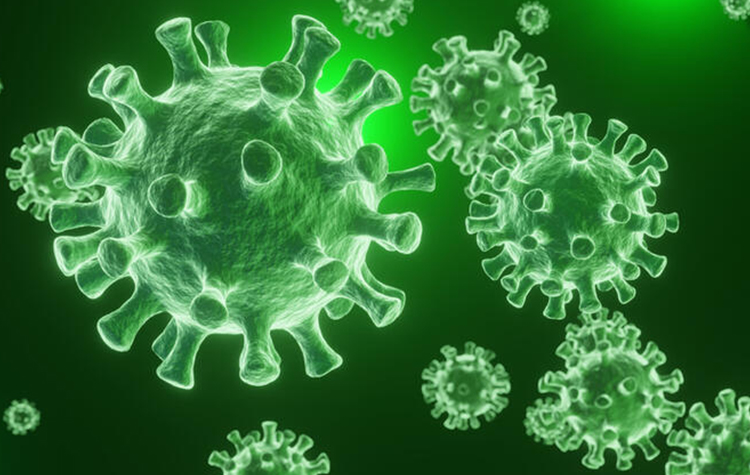 Bakan Koca'dan son dakika açıklaması: Mutasyonlu virüs Türkiye'de 7