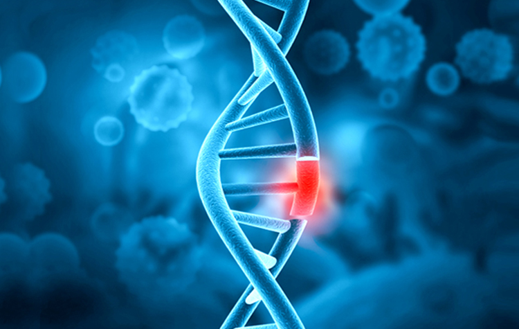 Ailesinde Kanser Hastası Olanlar Dikkat! 7