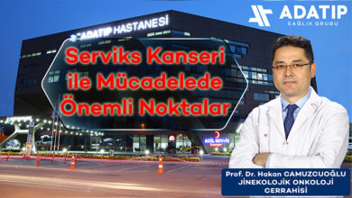 Serviks Kanseri ile Mücadelede Önemli Noktalar 1