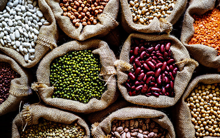 Hiçbir gıda mucize değildir! 1