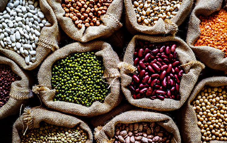 Hiçbir gıda mucize değildir! 6