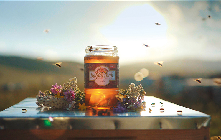 Sağlıklı ve Doğal Bal'a nasıl ulaşılır? 6