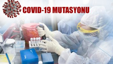 KKTC’de SARS-CoV-2’nin Güney Afrika ve Brezilya varyantları yok 15