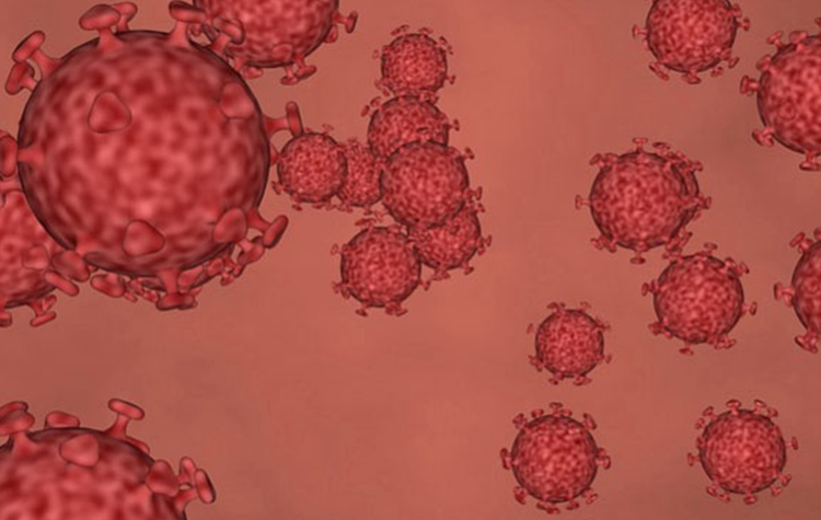 İran’da Korona Virüs Alarm veriyor 6