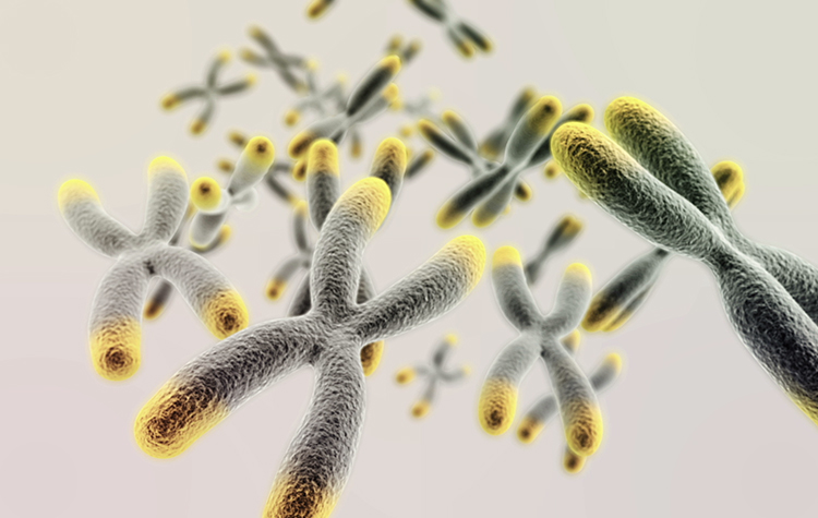 Telomere yönelik uygulamalarla genç kalmak 7