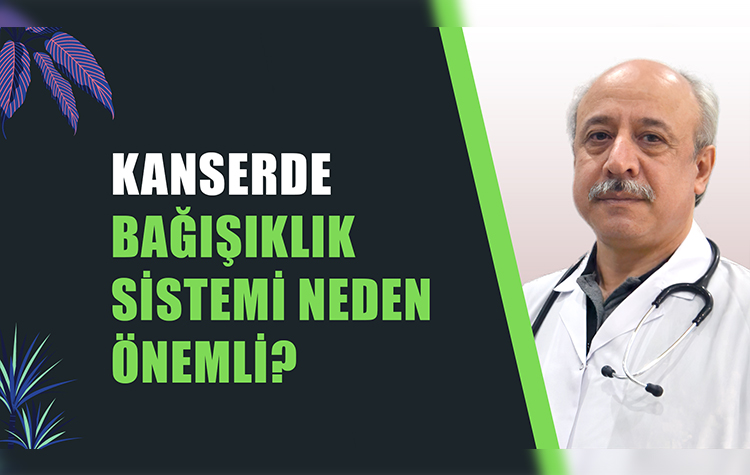Kanserde Bağışıklık sisteminin önemi 7