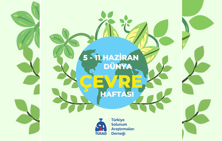 Eko tahribat sürerse gelecekte yeni pandemiler yaşanacak! 6