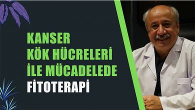 Kanser kök hücreleri ile mücadelede Fitoterapi 5